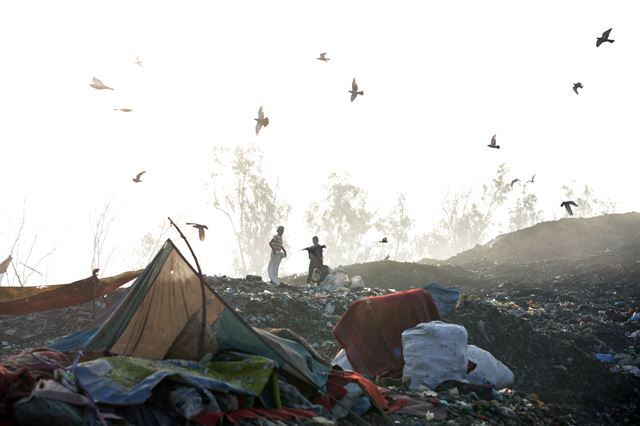 세계 환경의 날(5일)을 앞두고 3일(현지시간) 인도 암리차르와 인접한 쓰레기 매립장에서 넝마주이들이 쓸만한 물품을 골라내고 있다.  EPA 연합뉴스