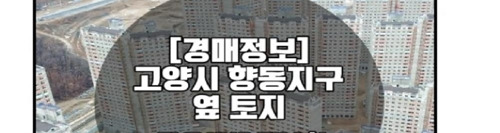 고양 향동지구 인근을 강조한 한 기획부동산 홍보 웹페이지 일부