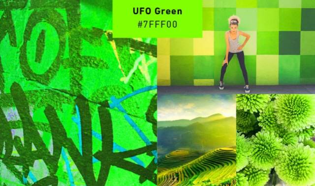 셔터스톡이 2019 1위 색으로 꼽은 ‘UFO 그린’