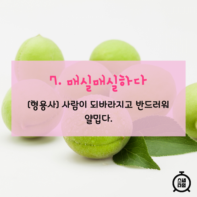 (이미지= 이미지투데이)