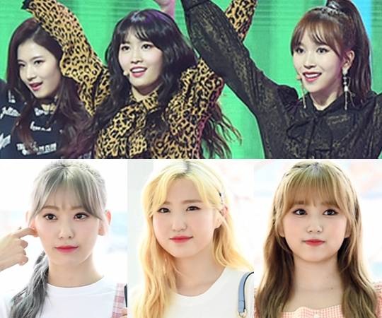 왼쪽 위부터 시계방향으로 사나 모모 미나 야부키 나코 혼다 히토미 미야와키 사쿠라