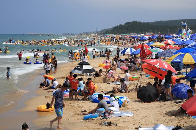 동해 망상해수욕장 자료사진.│ 동해시 제공