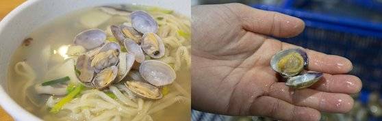 별 재료 없이 바지락만 넣고 끓여도 국물이 개운하고 시원하다. [사진 경기관광공사]