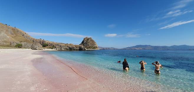 세계적으로 희귀한 핑크 비치. 해변에 사는 붉은 산호가 죽어 으깨져서 분홍빛을 띤다. 최승표 기자