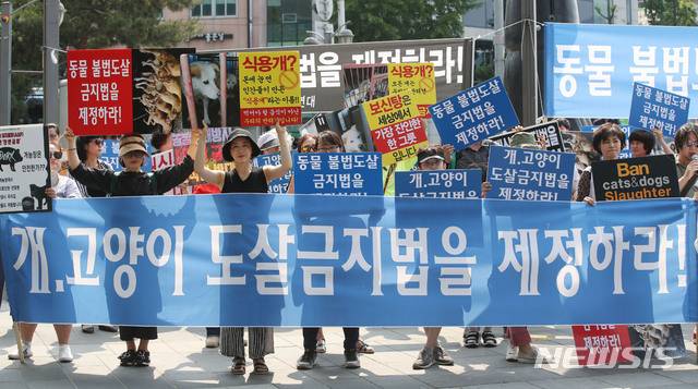 【서울=뉴시스】박미소 기자 = 동물 불법도살 반대 시민모임 회원들이 2일 오후 서울 종로구 북인사광장에서 열린 '동물 불법도살 금지법 제정 촉구 집회'에서 손피켓을 들고 있다. 2019.06.02. misocamera@newsis.com
