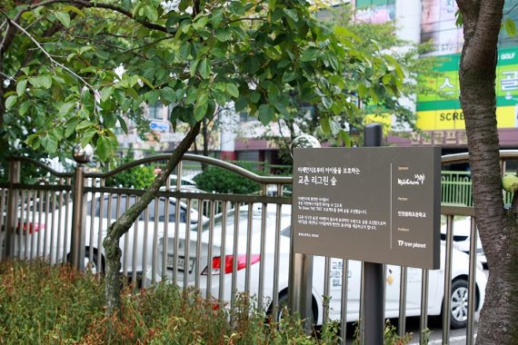 교촌에프앤비가 친환경 캠페인 '리 그린 더 트리'를 진행한 인천 봉화초등학교 모습 /사진=교촌치킨 제공
