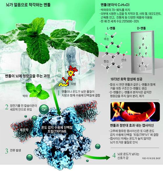 /그래픽=양진경