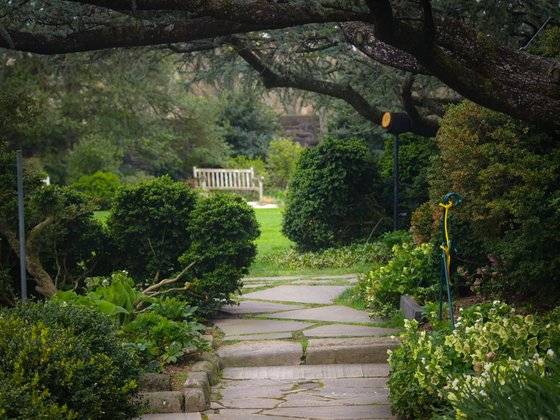 심한 폭우가 내리던 밤이 지나고 아침이 오자 꽃과 나무들이 걱정되어 정원으로 향했다. [사진 pxhere]