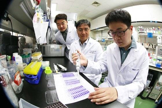 KAIST 바이오및뇌공학과 조광현 교수의 실험실. 석박사 과정 학생들이 연구에 몰두하고 있다. [사진 KAIST]