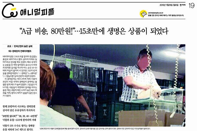지난 7월29일치 〈한겨레〉 지면에 보도된 ‘반려산업의 슬픈 실체’ 1회-경매장의 컨베이어벨트.