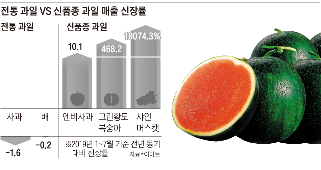 수박에 줄무늬가 없네 - 이마트가 지난 7월 출시한 ‘1% 수박’. 전북 정읍 수박 장인들과 5개월에 걸쳐 개발한 품종으로 프리미엄 이미지를 강조하기 위해 1%라는 이름을 붙였다.