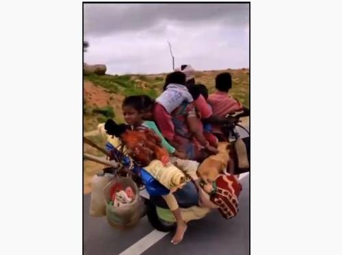 가족 7명을 비롯해 개 2마리, 닭 2마리가 타고 달리는 인도의 오토바이. [유튜브 영상 캡처]