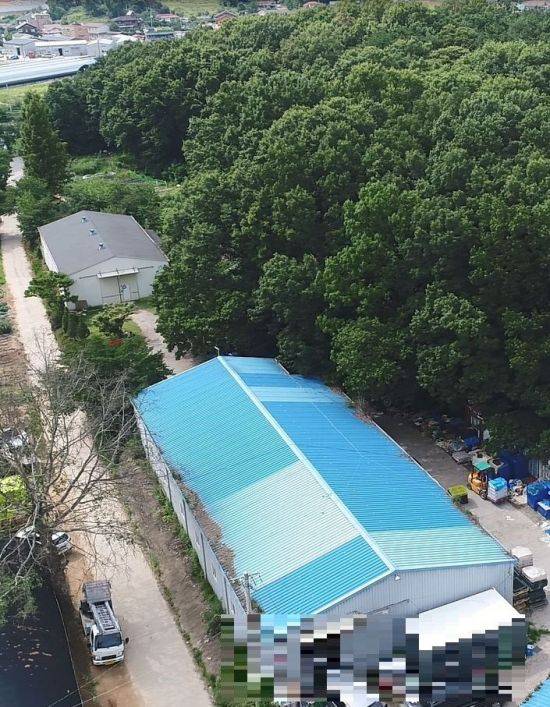 그린벨트 내 불법 건물