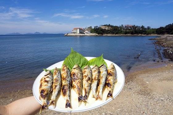전어는 9, 10월이 제철이다. 여름엔 살이 물러 맛이 덜하다. 찬바람 부는 계절이 돼야 통통하게 살이 오른다. 그래서 가을 전어다. 천일염을 솔솔 뿌려 구워 먹는다. 머리와 뱃살 부분이 특히 기름지고 고소하다. 백종현 기자