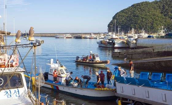 활어차로 전어를 옮기는 어부들의 분주한 모습. 요즘 격포항의 흔한 풍경이다. 전어 배는 주로 위도 앞에 그물을 친다. 백종현 기자