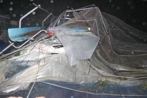 7일 오전 제주 서귀포시 서호동 인근 감귤밭 비닐하우스가 강풍에 힘없이 주저앉아 있다. [뉴시스]