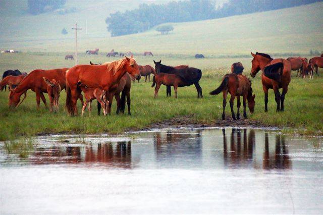 우란부퉁 초원의 예야후 호수.