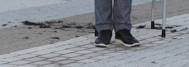 송은석기자 silverstone@donga.com