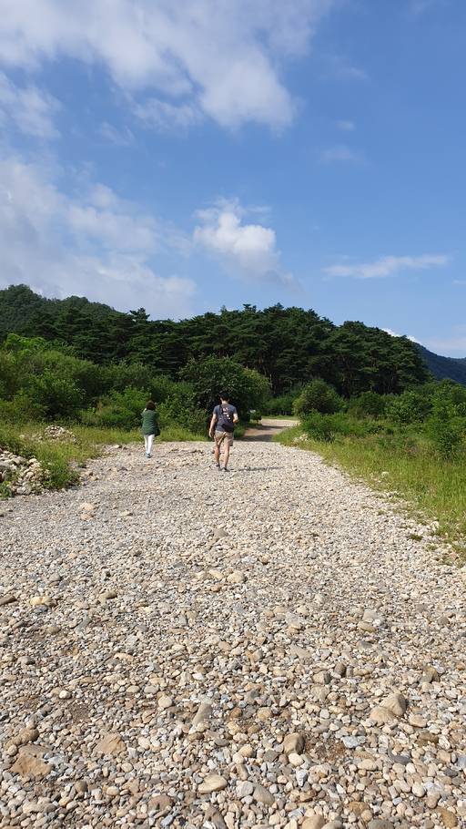 청령포 가는 길