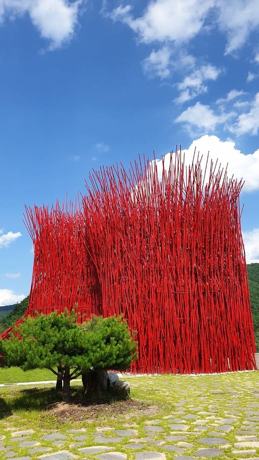 젊은달 와이파크 ‘붉은 대나무’