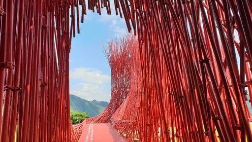 젊은달 와이파크 ‘붉은 대나무’