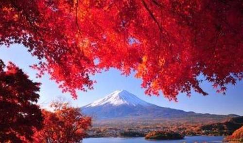 中국경절 해외 인기 여행지 1위는 일본 [바이두 캡처]