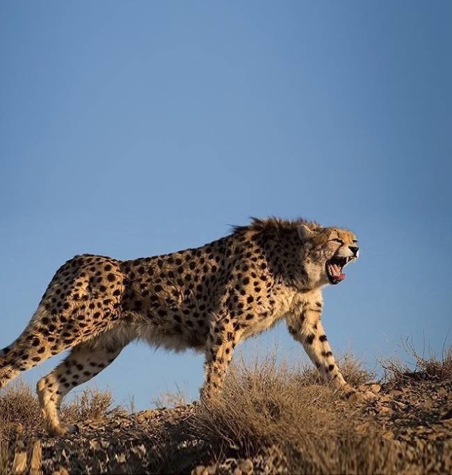 [Tasnim News Agency]