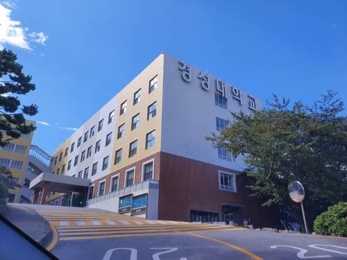 경성대학교 모습 (부산=연합뉴스) 차근호 기자 = 지난 9월 촬영한 부산 남구 경성대학교 캠퍼스 전경 모습. 2019.10.21   ready@yna.co.kr(끝)