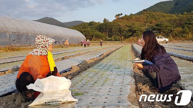 경남 함양군 양파정식현장(함양군 제공)© 뉴스1