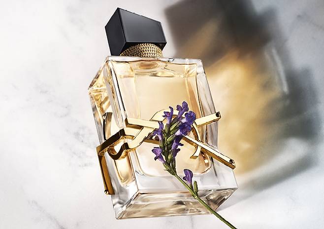 ©입생로랑 뷰티(YSL Beauty)