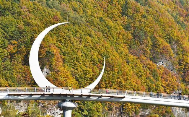 아우라지 오작교 인근 산자락에 단풍이 황홀하다. 뒤편이 달이 뜨는 ‘월부’ 계곡이어서 다리 위에 초승달 모양의 조형물을 세웠다고 한다.