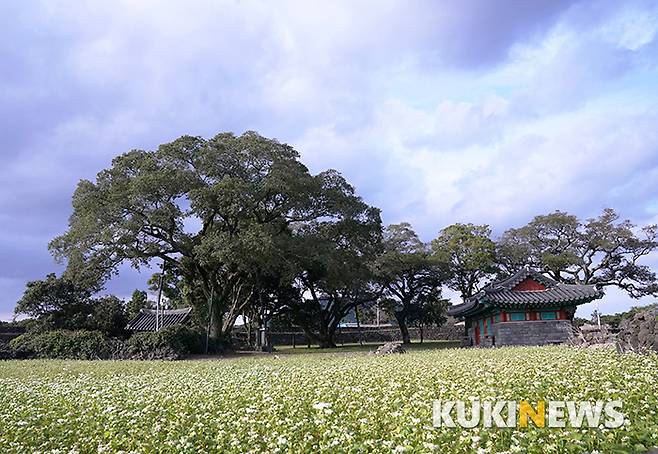성읍민속마을 (서귀포시 표선면 성읍리 3294)은 조선시대부터 1914년까지 500여 년 동안 정의현의 현청이 있던 곳으로 1984년 국가민속문화재 제188호로 지정되었다. 성읍민속마을의 오랜 역사를 상징하듯 수령 수백 년의 고목들이 근민헌을 호위하고 있다.