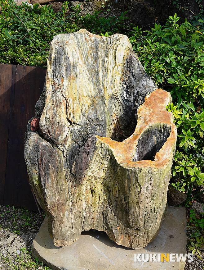 어느 카페 앞에 나무 화석이 전시되어 있다. 일억천오백만 년 전 제주의 마고할머니가 반고에게서 나온 금벌레와 은벌레를 이 나무에서 키웠는데 두 마리의 벌레는 1억년 동안 이 나무에 구멍을 판 끝에 만났단다. 금벌레는 남자가 되고 은벌레는 여자가 되어 사랑을 이룬 이 나무 구멍 속에 사랑하는 남녀가 손을 넣고 마주잡으면 영원히 변하지 않는다며 연인들의 마음을 흔들고 있다.