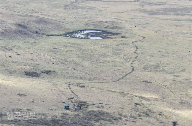분화구 바닥보다 600m 높은 지점에 위치한 전망대에서 본 응고롱고로 초원. 대형 초식동물도 하나의 점으로 보인다.