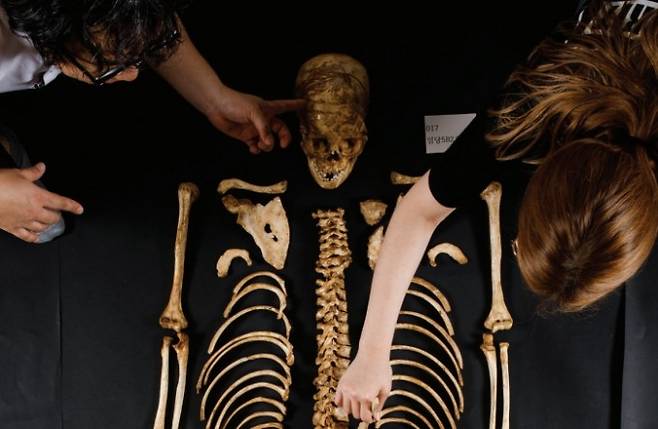 고고학자들이 유적에서 발견한 고인골을 분류하고 있다. 259구의 인골을 분류하는 데만 1년여에 가까운 시간이 걸렸다.