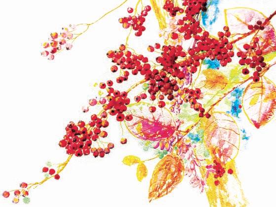 한해 농사를 마쳤다. 꽉 찼던 밭이 비었다. 꿈이 하나 있다. 자그마한 땅을 마련해 내 손으로 씨를 받아 키우는 꿈이다. 내 몸 써서 땀흘려 일하고, 수확물은 마음 편한 사람들과 나누고. 꿈이 있으니 하루하루가 새롭다.