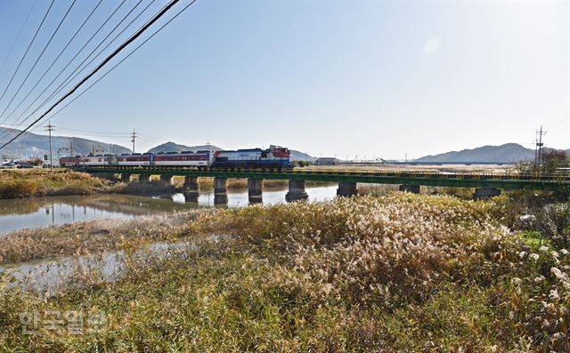 무궁화호 열차가 벌교천 위 ‘철다리’를 지나고 있다. 1923년 개통한 경전선(삼랑진~광주 송정) 선로는 지금도 단선 철도로 운영된다. 순천역에서 벌교역까지는 약 22분 걸린다.