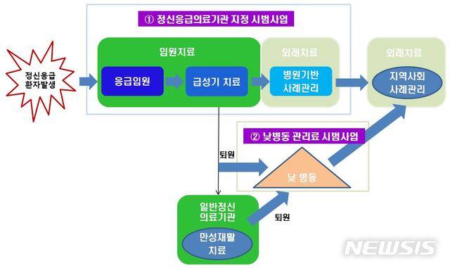 [세종=뉴시스]정신응급의료기관 지정 시범사업 개요. (그래픽=보건복지부 제공)