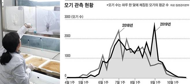 지난 26일 충북 청주시 오송읍 질병관리본부에서 정현희 연구원이 실험용 모기를 사육하고 있다. 올해 가장 모기가 많이 관측된 때는 9월 첫째 주였다. 지난해보다 2달가량 늦다. /조유진 기자
