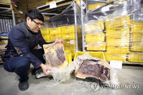 고래고기 불법 유통 적발 [연합뉴스 자료사진]