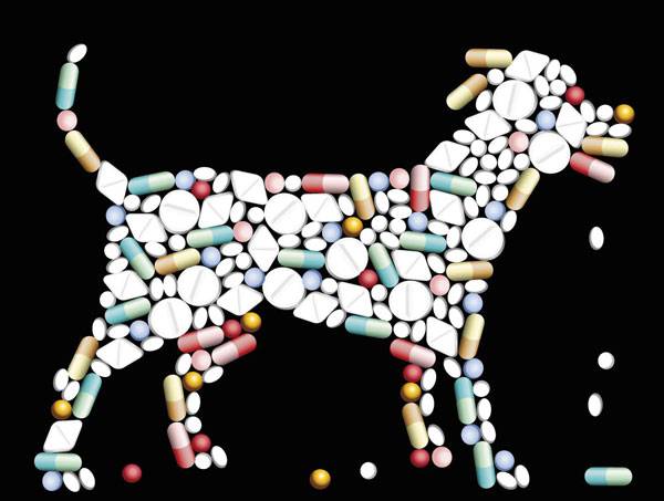 /게티이미지뱅크