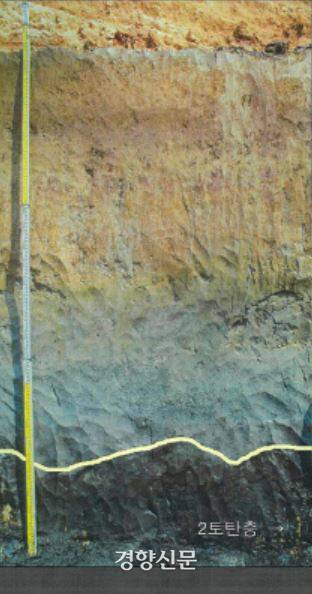 볍씨들이 집중출토된 소로리 토탄층. 토탄층은 부패와 분해가 완전히 되지 않은 식물의 유해가 진흙과 함께 늪이나 못의 물 밑에 퇴적한 지층이기 때문에 유물이 잘 남아있다.|한국선사문화연구원 제공