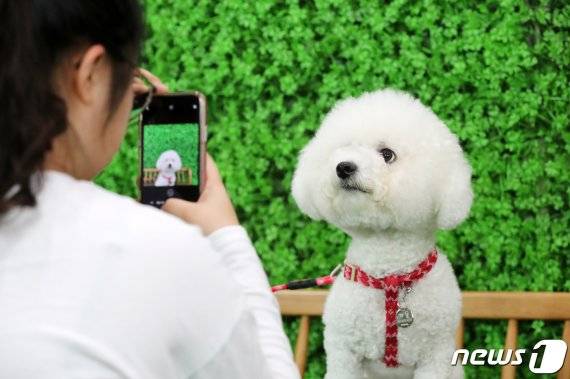 /사진=뉴스1