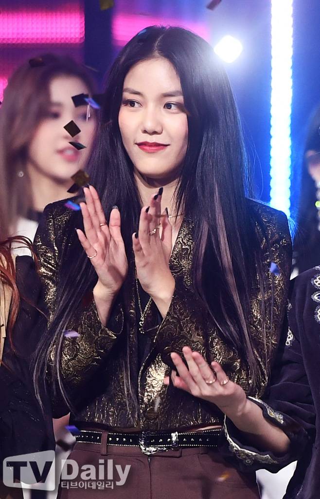 티브이데일리 포토