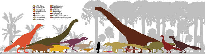 국제 공룡 탐사가 벌어진 몽골 동 고비 사막의 바얀시레 층에서 출토된 다양한 공룡. 왼쪽 갈색이 탈라루루스 공룡이다. 위키미디어 코먼스 제공.