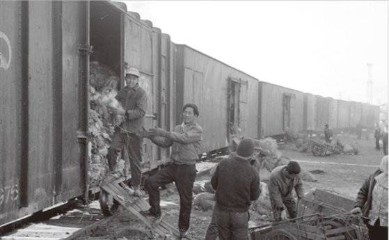 (사진 28) 김장용 배추를 실어나르던 열차. [출처 국가기록원]