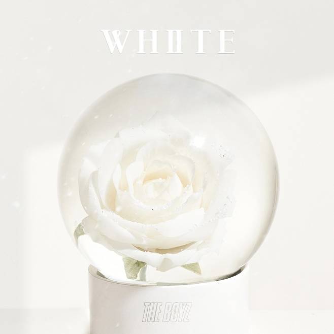 더보이즈 핑클 화이트