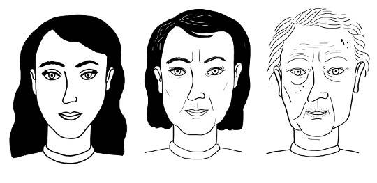 독일 피부과 전문의가 펴낸 ‘은밀한 몸’에 담긴 인체의 신비는 한두 가지가 아니다. 저 그림은 책에 담긴 일러스트 중 하나로 인간의 노화를 다룬 페이지에 실려 있다.  저자는 “책임감 있는 생활이 최고의 안티에이징 효과를 낸다”고 썼다. 북레시피 제공