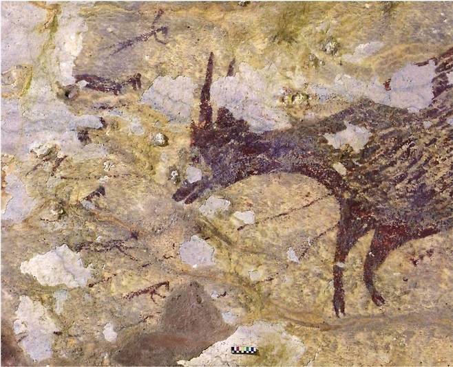 인류가 그린 가장 오래된 동굴벽화가 인도네시아 술라웨시 섬에서 발견됐다. 4만 3900년 전 그려진 것으로 밝혀졌다. 사진은 4.5m 길이의 전체 벽화 중 일부로, 작고 사나운 물소(오른쪽)와, 이를 사냥하는 6명의 작은 사람들(왼쪽 작은 그림들)을 묘사하고 있다. 사람들은 부리 등 동물 부위를 지닌 반인반수다. 네이처 제공