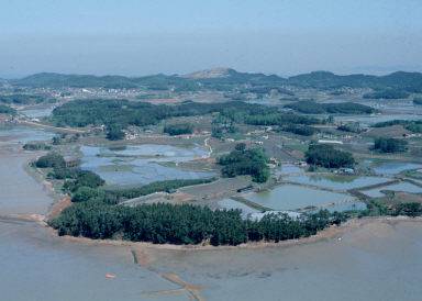 대부남동 전경 [안산시 제공. 재판매 및 DB 금지]